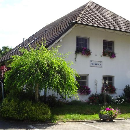 Pension Egerer Bad Kostritz Экстерьер фото